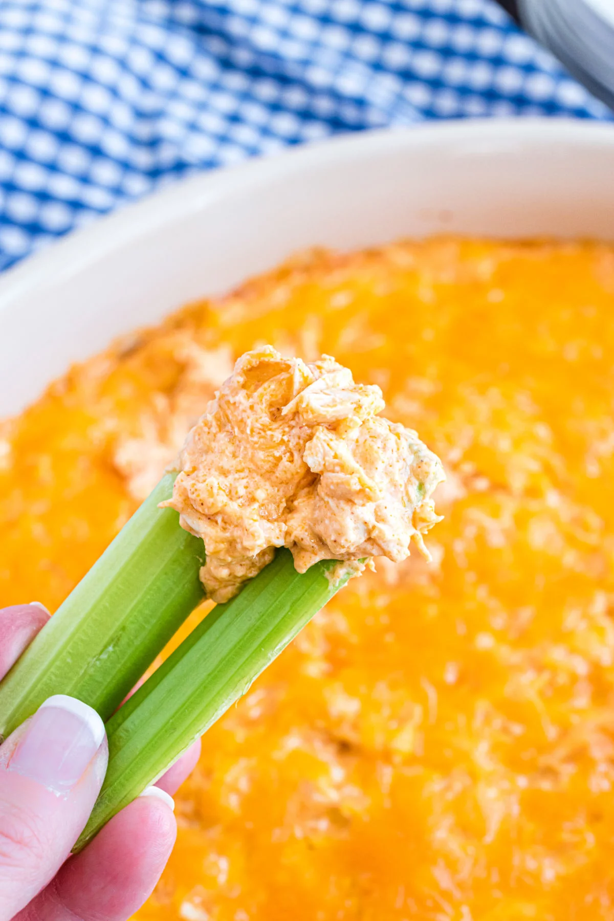 Buffalo Chicken Ranch Dip