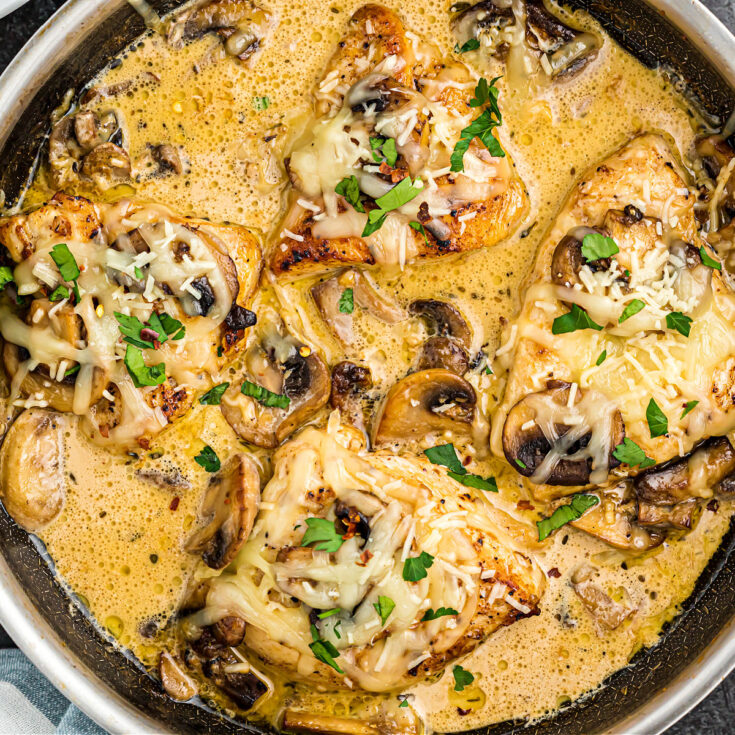 This Chicken Mushroom recipe is a creamy, cheesy, garlicky low-carb casserole made in one pan. Juicy chicken gets smothered with a savory mushroom gravy to create a keto friendly meal that pairs beautifully with all your favorite side dishes!