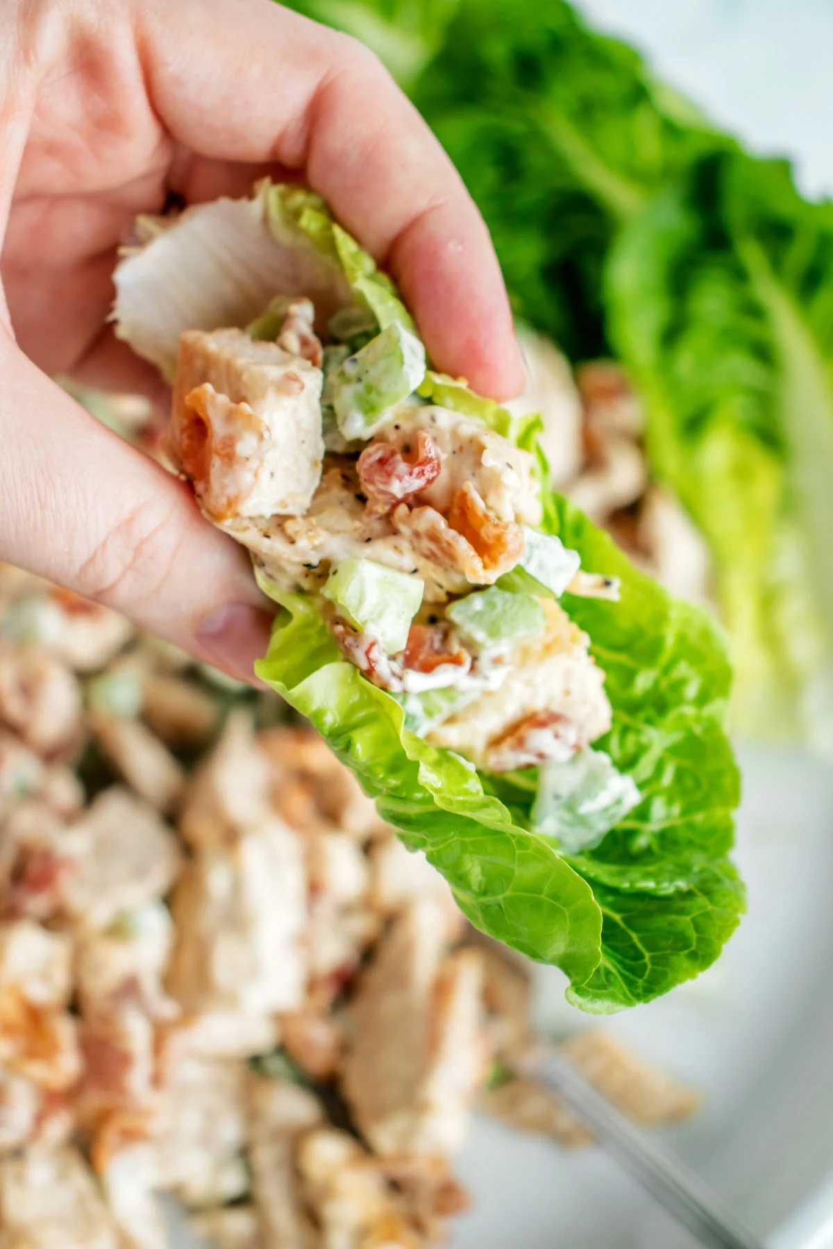 Chicken salad in a lettuce wrap.